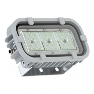 Светодиодный светильник FWL 31-14-850-С120